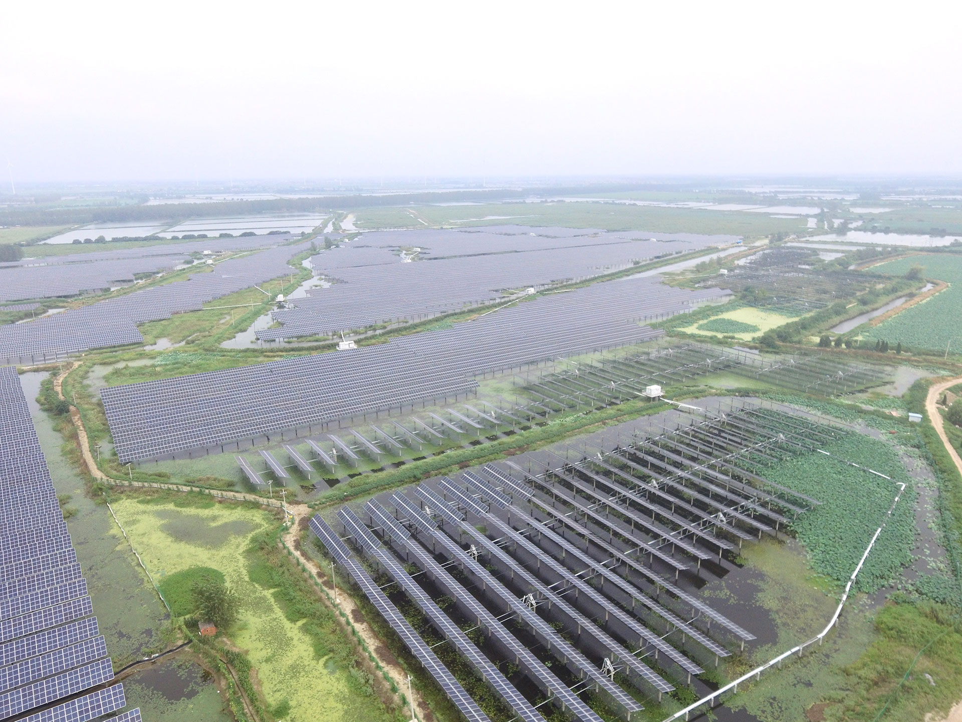 必赢科技江苏扬州宝应光伏发电应用领跑基地2号100兆瓦项目